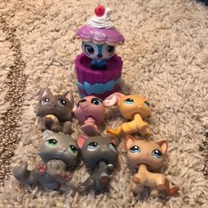 Littlest pet shop